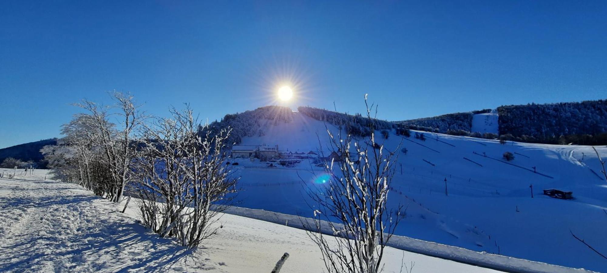Holiday home Des 3 Jonquilles *